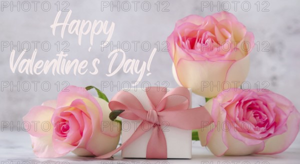 Gift box with tied ribbon bow pink roses. Greeting card background. Present for springtime holidays. Text Happy VALENTINES day. poster banner size