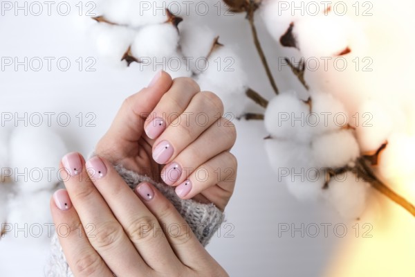 Woman hands with beautiful nude manicure holding delicate white cotton flower. Female Manicure, natural look. Nails care. Self care. SPA and beauty concept