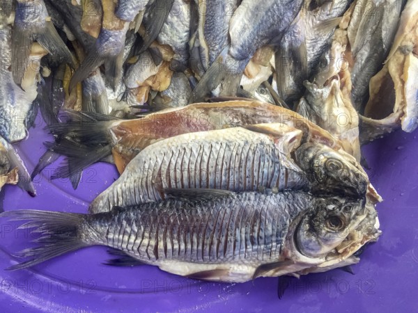 Close-up of dried fishes, more in background, at purple plate at a market, Santa Cruz de Mompox, Colombia, World Heritage, South America