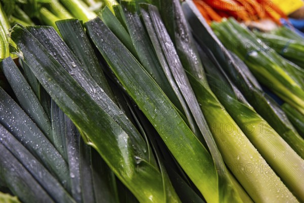 Vegetables from the weekly market market, fresh leek