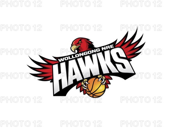 Turned to the left, Illawarra Hawks logo, logo