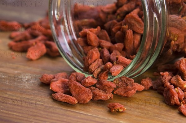 Red dried goji berries, lodz, poland