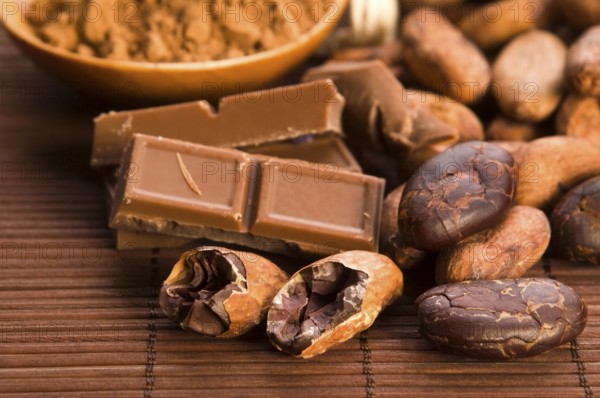 Cocoa (cacao) beans with chocolate, lodz, poland