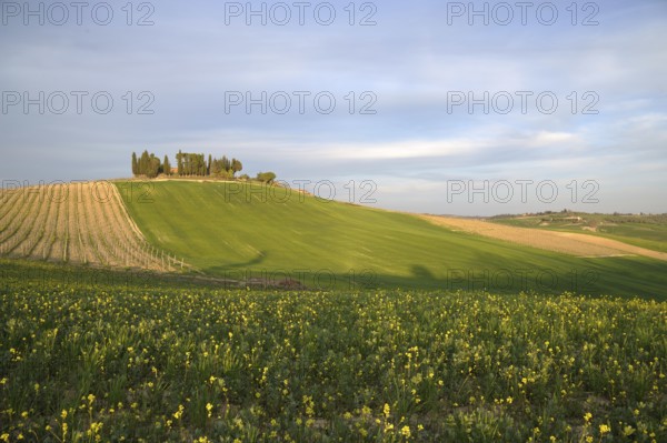 Chianti is one of the most famous rural areas of Tuscany