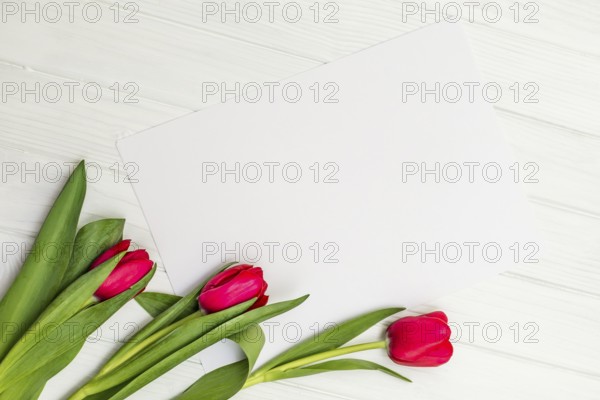 Red tulips and sheet of paper for your greetings on the background of white wooden board