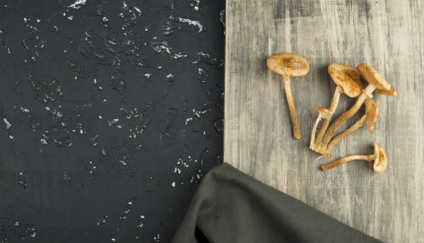Fresh mushrooms with spices and herbs on black board. View from above. Copy space