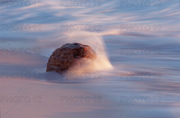Driftwood on the beach, Jamaica, Caribbean Sea, Caribbean, Central America