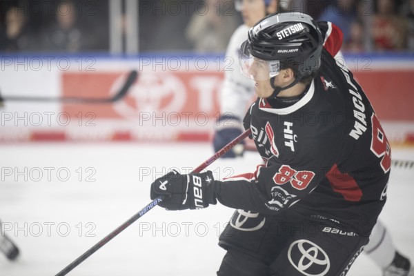 LanxessArena, Cologne, North Rhine-Westphalia, Gregor Macleod (Cologne Sharks, #89), PENNY DEL, Cologne Sharks-EHC Red Bull Munich on 28/01/2025 at the LanxessArena in Cologne Germany