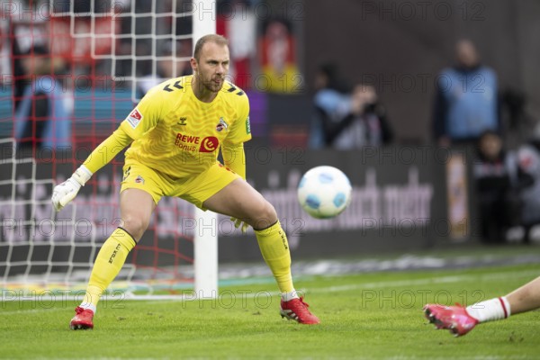 (DFL/DFB REGULATES PROHIBIT ANY USE OF PHOTOGRAPHS AS IMAGE SEQUENCES AND/OR QUASI-VIDEO), RheinEnergieStadion, Cologne, North Rhine-Westphalia, Marvin Schwäbe (1.FC Köln, Goalkeeper, #1), 2nd Bundesliga, 1.FC Köln, SV 07 Elversberg on 25/01/2025 at RheinEnergieStadion in Cologne Germany