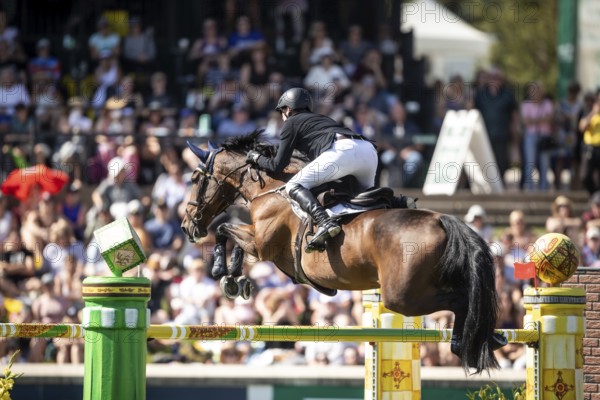 Daniel Coyle of Ireland and riding Legacy compete in the first round of the 1.60m CPKC International during the Spruce Meadows Masters, presented by Rolex, in Calgary, Alberta, Canada, North America
