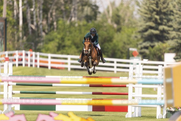 Abdulrahman Alrajhi from Saudi Arabia and riding Heartbeat W, compete in the 1.60m Grand Prix during The Continental international competition at Spruce Meadows, in Calgary, Canada, North America