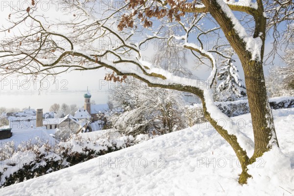 A snowy village with houses and a church tower of St. Nicholas, winter atmosphere, peaceful, Höhrenberg, Allensbach, Lake Constance, Baden-Württemberg, Germany, Europe