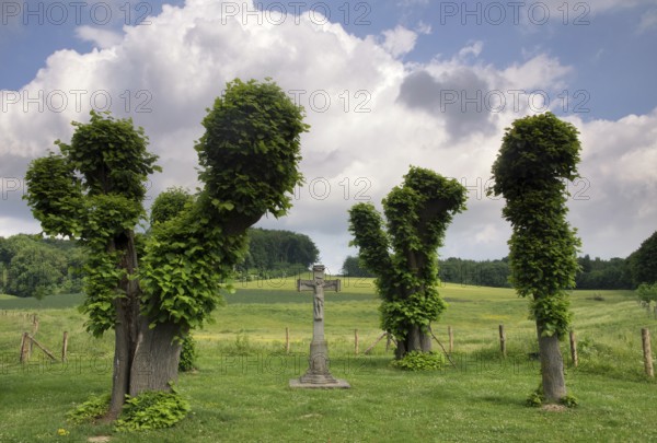 Wayside cross near Terborgh castle in the Dutch village Schinnen in the most southern province Limburg