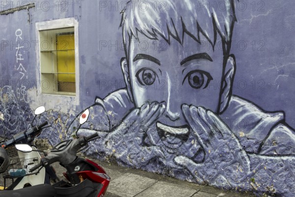 Painted wall, street art, street art, old town of George Town, Georgetown, Penang Island, Malaysia, Southeast Asia, Asia