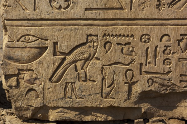 Ancient egypt images and hieroglyphics on wall