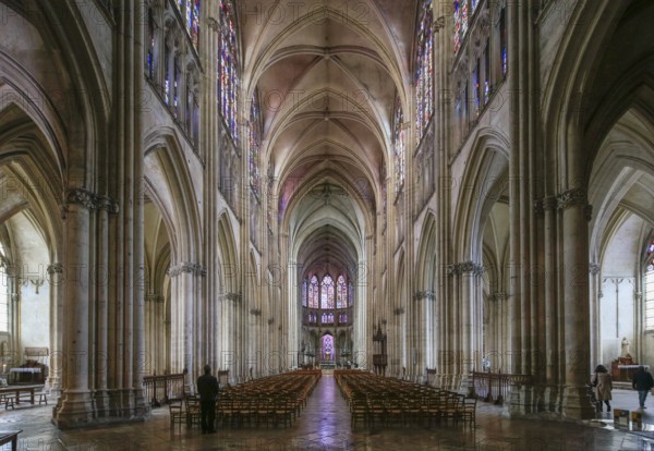 Saint-Pierre-et-Saint-Paul de Troyes Gothic Cathedral, Troyes, Aube department, Grand Est region, France, Europe