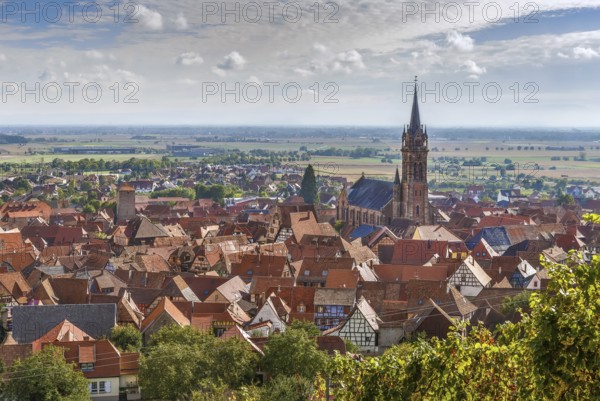 View of Dambach la Ville from the hill with vineyard, Alsace, France, Europe