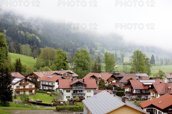 Landscape in the Allgäu, 2019
