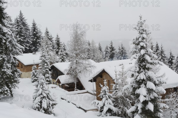 Snow-covered little houses in the middle of a forest