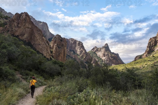 A hiker walking thtough the mountains of Big Bend National Park, USA, North America
