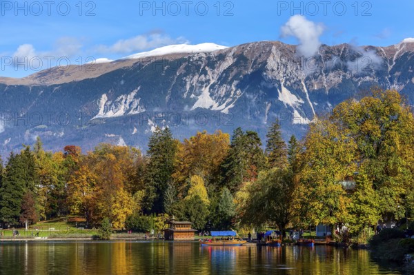 Bled, Slovenia panoramic sunset view of Lake and autumn colorful trees background in julian alps mountains