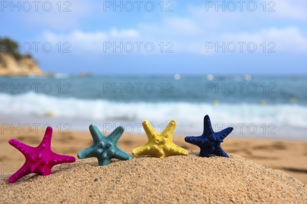 Tropical colorful starfishes at the beach