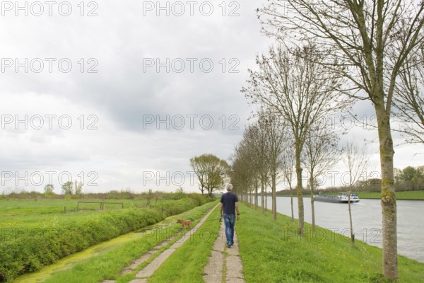 Man walking the dog in typical dutch landscape