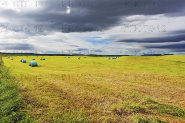 Mown grass folded into a neat stack and packed in special bags of plastic. Rural field after harvest