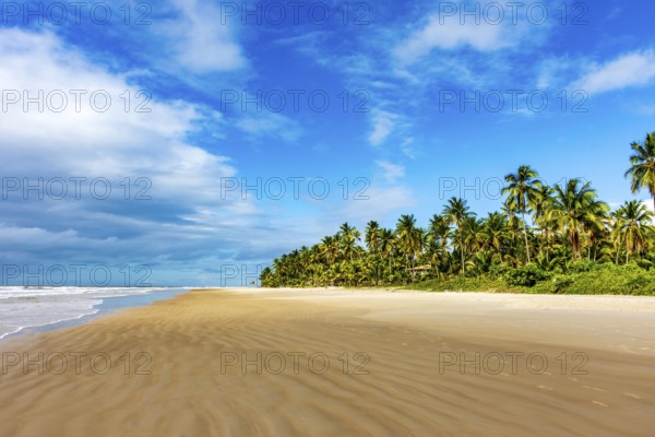 Landscape of the idyllic beach of Sargi with its coconut trees and sand meeting the sea in Serra Grande on the coast of Bahia, northeastern Brazil