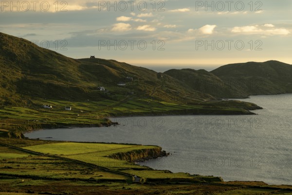 Coastal landscape on the Ring of Kerry near Waterville, with green fields and scattered houses in the evening light, Reenearagh, Iveragh Peninsula, County Kerry, Ireland, Europe