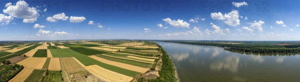 Aerial panorama of colorful fields on high bank of Danube river in Serbia