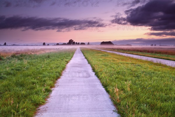 Dutch bicycle road through summer misty meadows