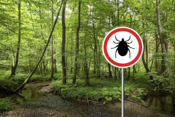 Tick insect warning sign in infected forest. Lyme disease and meningitis transmitter