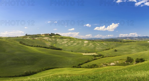 Hilly landscape with blue skies in Crete Senesi, Asciano, Siena, Italy, Europe