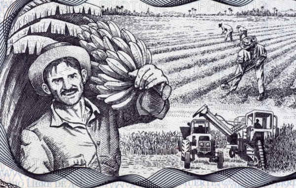 Agricultural Scene on 20 Pesos 2006 Banknote from Cuba