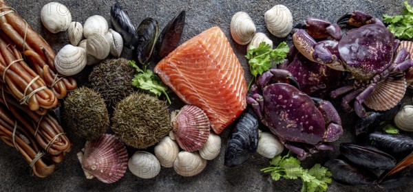 Food, Food, PACIFIC SEAFOOD. Fresh salmon, crabs ostions clams mussels, seaweed cochayuyo, sea urchins. Food background with copy space