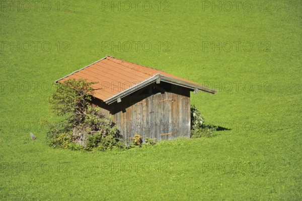 Wooden hut