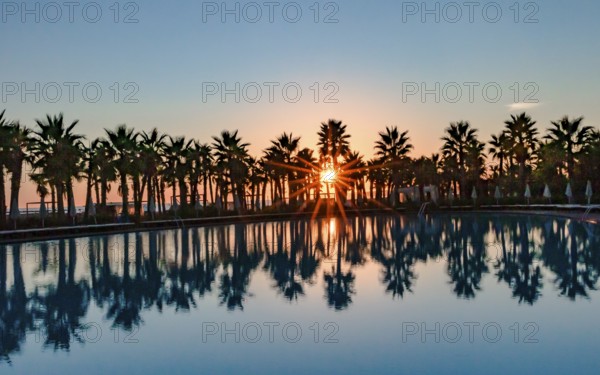 Sunset by the pool with palm trees in Salgados, Portugal, Europe