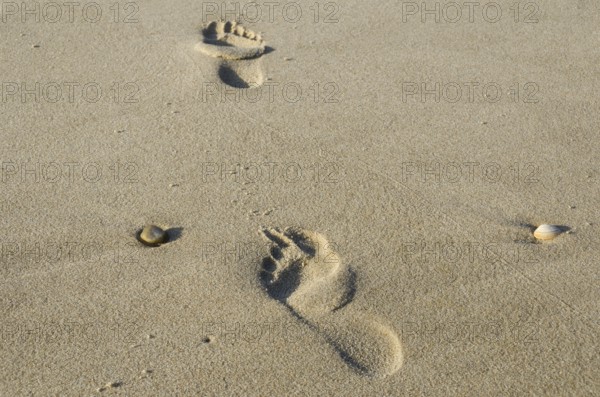 Footsteps in the sand at the beach