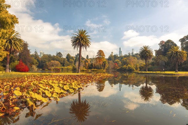 Royal Botanic Gardens Victoria on a cool autumn morning in Melbourne, Victoria, Australia, Oceania