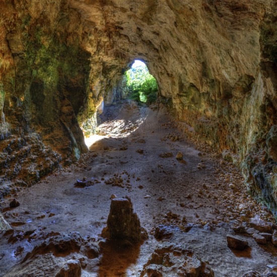 Menorca Cova dels Coloms Pigeons cave in es Mitjorn at Balearic island