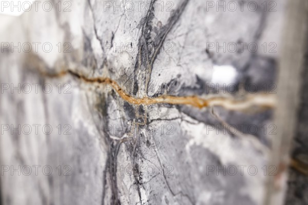 Detailed view of gray stone with a visible crack, stone, natural stone, stone structure