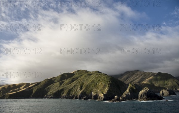 Ferry View Wellington New Zealand to South Island
