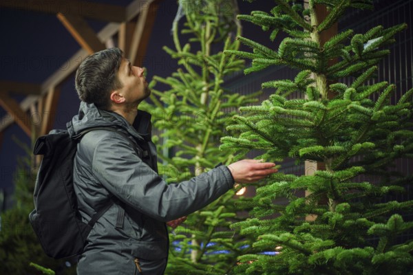 Found perfect Christmas tree bought at special planting place. Young adult man choosing a Christmas tree. Male buying christmas tree on market during winter holidays. Preparing for New year