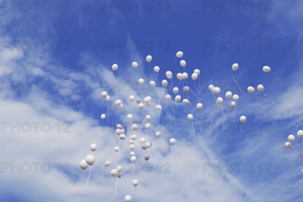 White balloons flying in clear blue sky