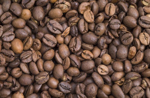 The photo shows a pile of roasted coffee beans