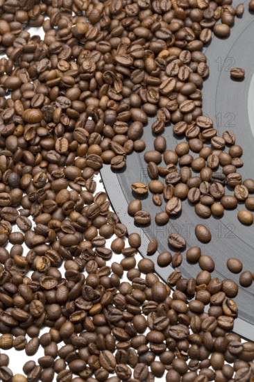 Coffee beans and vintage vinyl record on white background