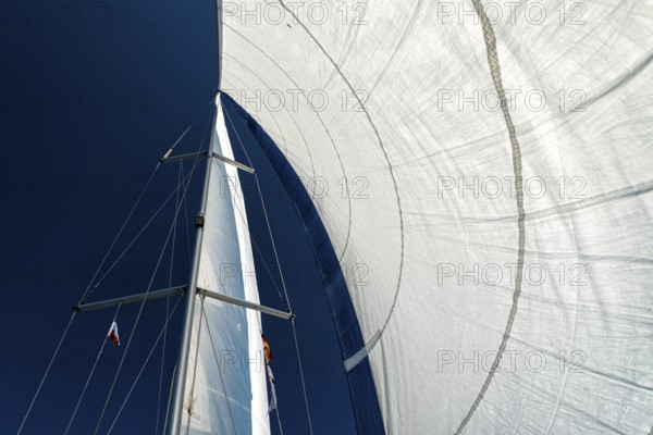 Sail of a sailing yacht in the wind while sailing on the sea
