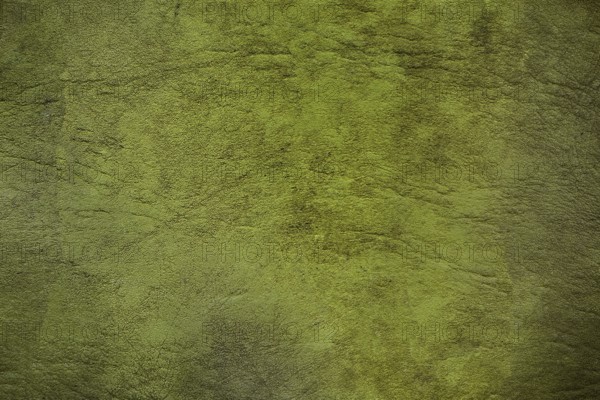 Green textured background with rough uneven surface, creating an abstract pattern of light and shadow.Belarus