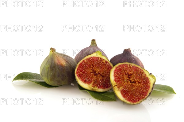 Figs fruit in the studio isolated over white